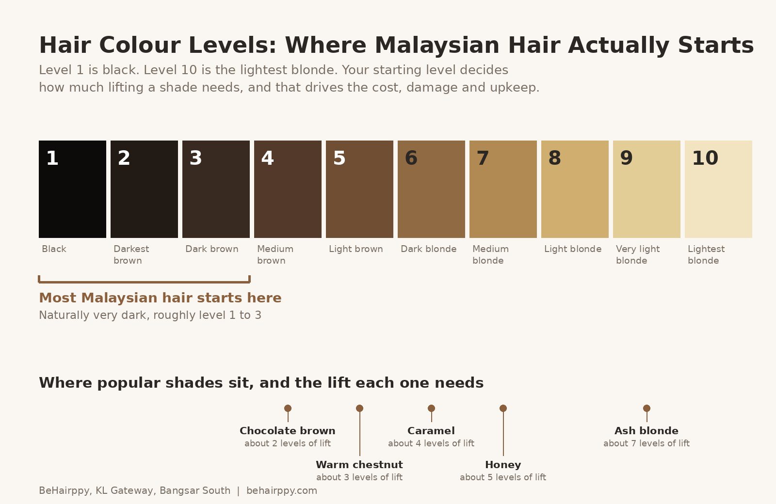 Hair colour level chart showing levels 1 to 10 for dark Malaysian hair
